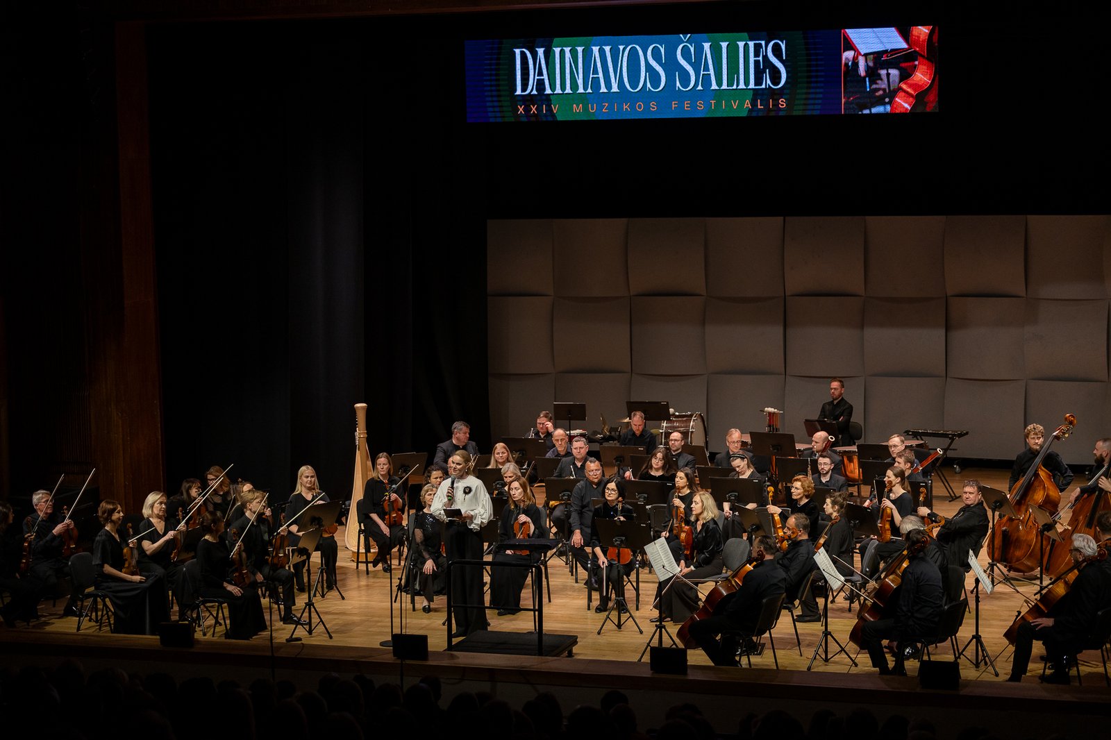 Nuo elektronikos iki simfonijos: Alytuje nuskambėjo Dainavos šalies muzikos festivalis